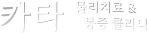 KATA Logo